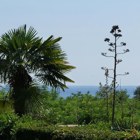 Sea Explorer House Novigrad Istria エクステリア 写真