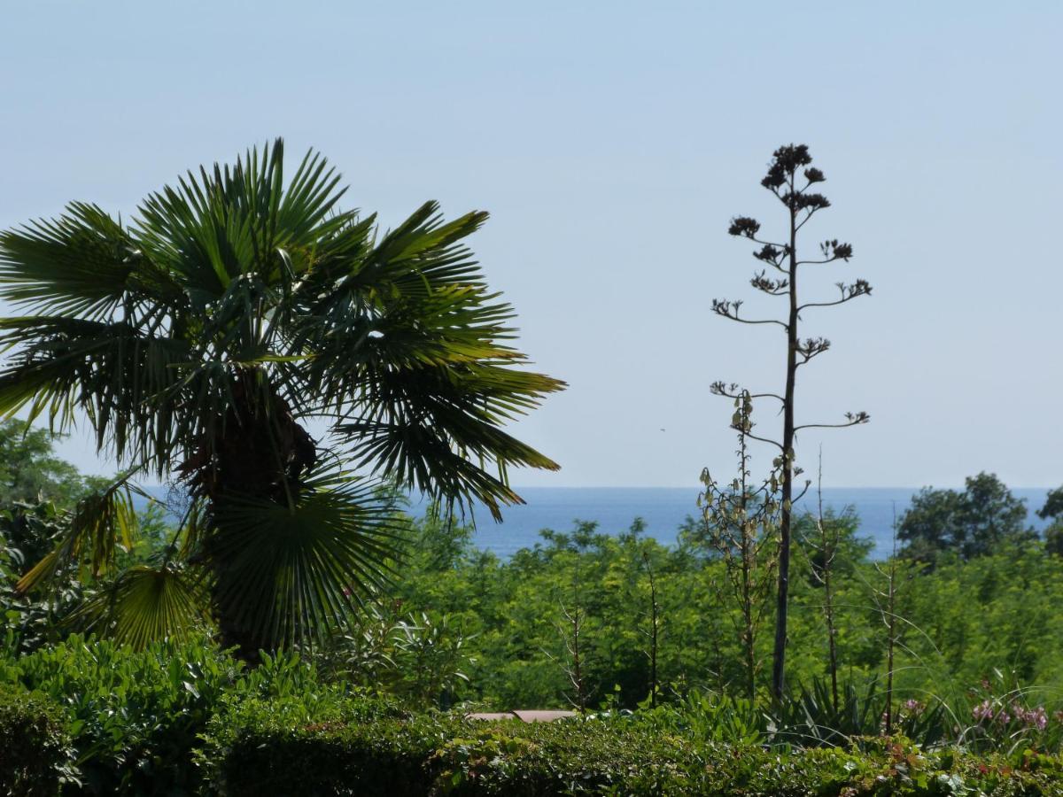 Sea Explorer House Novigrad Istria エクステリア 写真