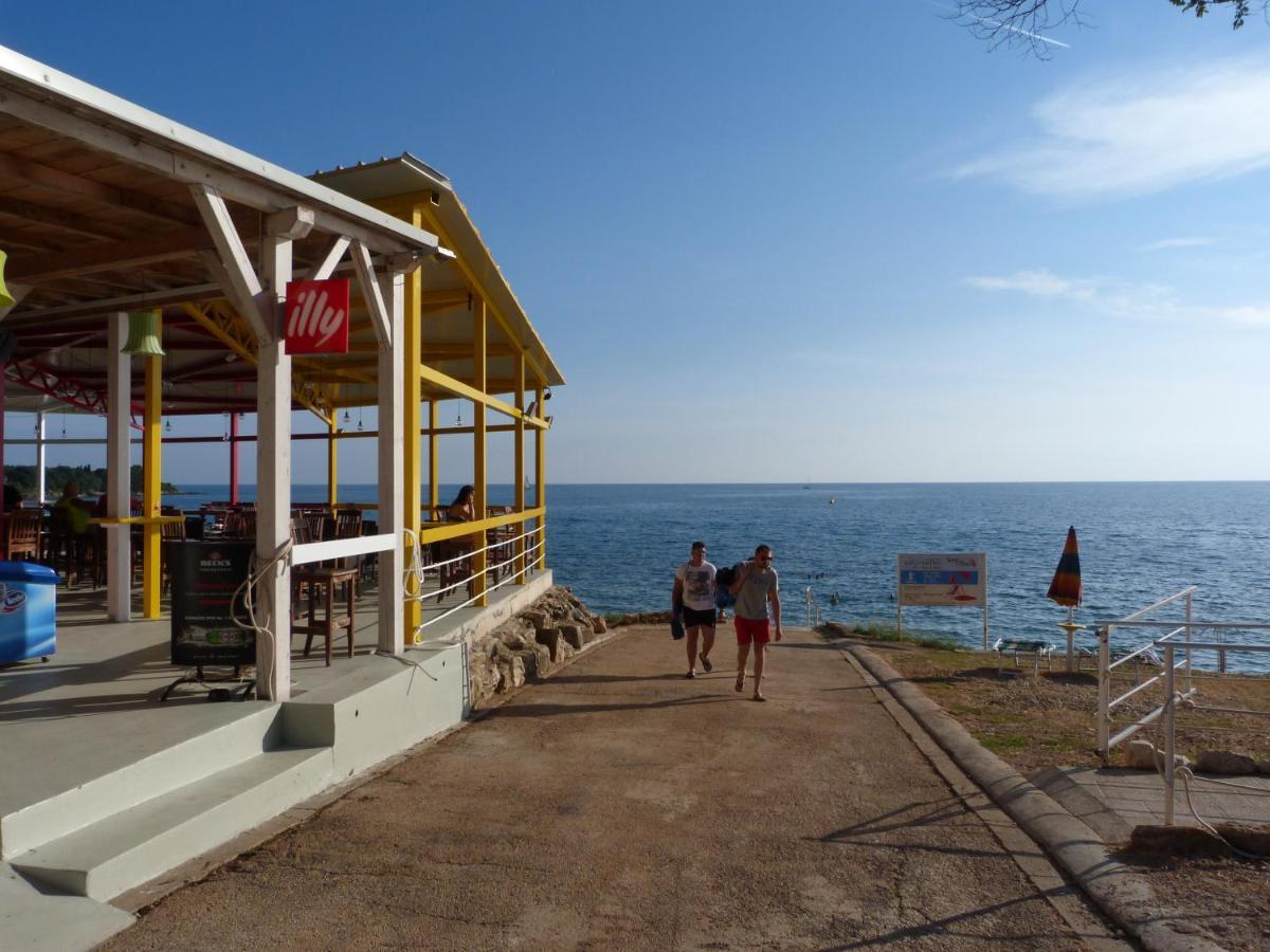 Sea Explorer House Novigrad Istria エクステリア 写真